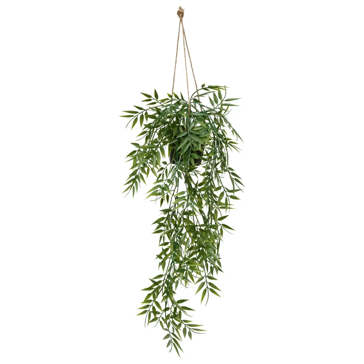 Bambus wiszący w doniczce LIORA, 67 cm