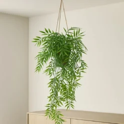 Bambus wiszący w doniczce LIORA, 67 cm