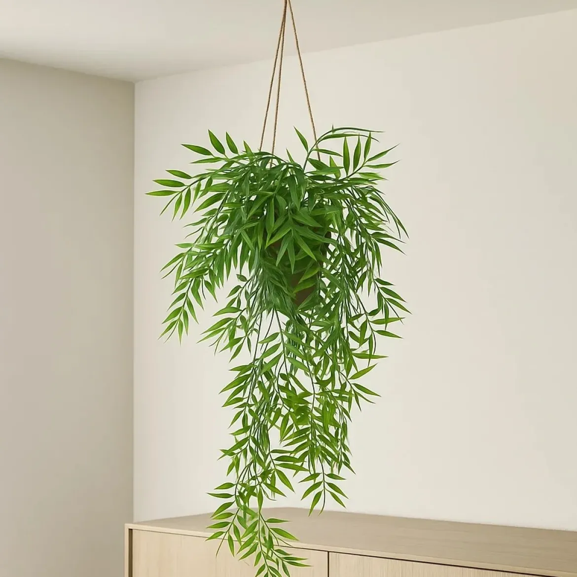 Bambus wiszący w doniczce LIORA, 67 cm