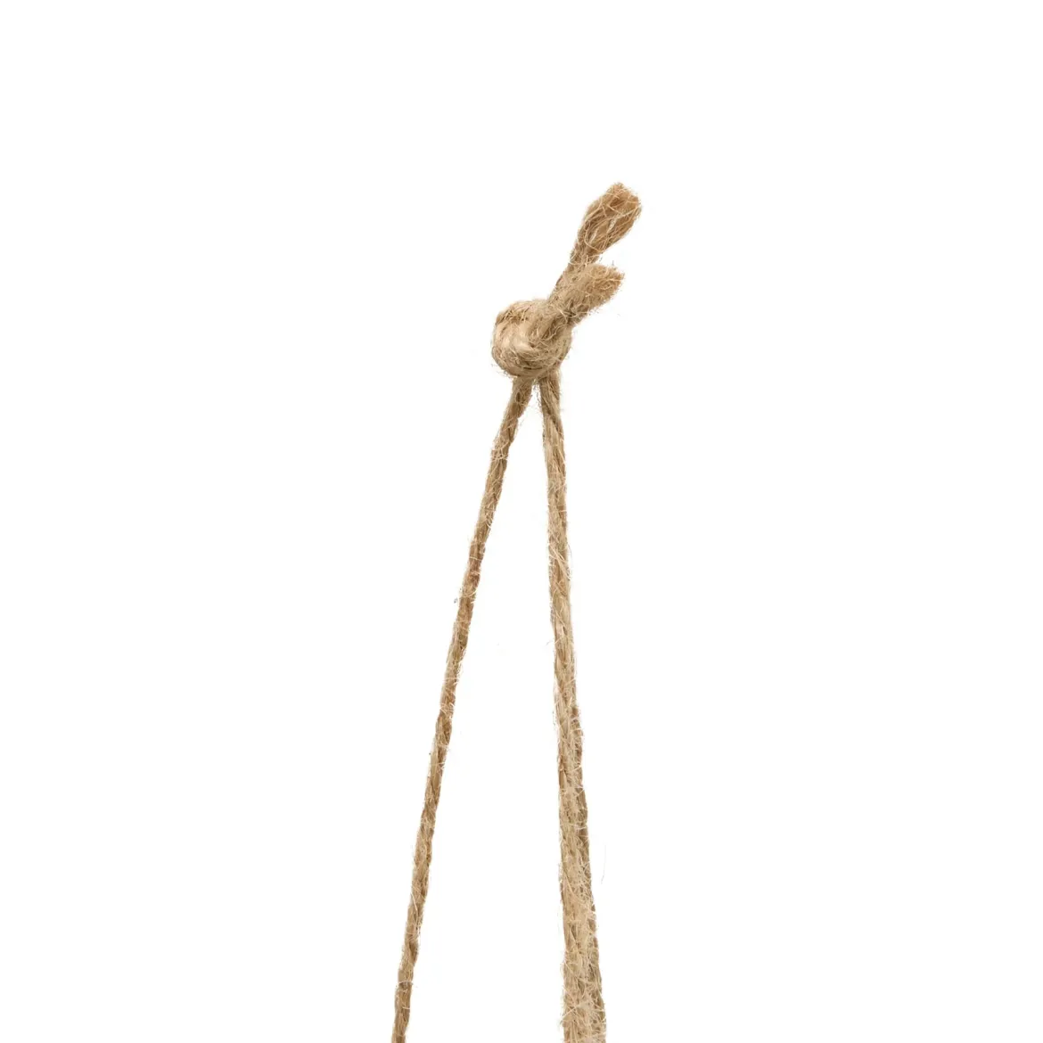 Bambus wiszący w doniczce LIORA, 67 cm