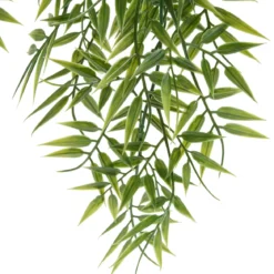 Bambus wiszący w doniczce LIORA, 67 cm
