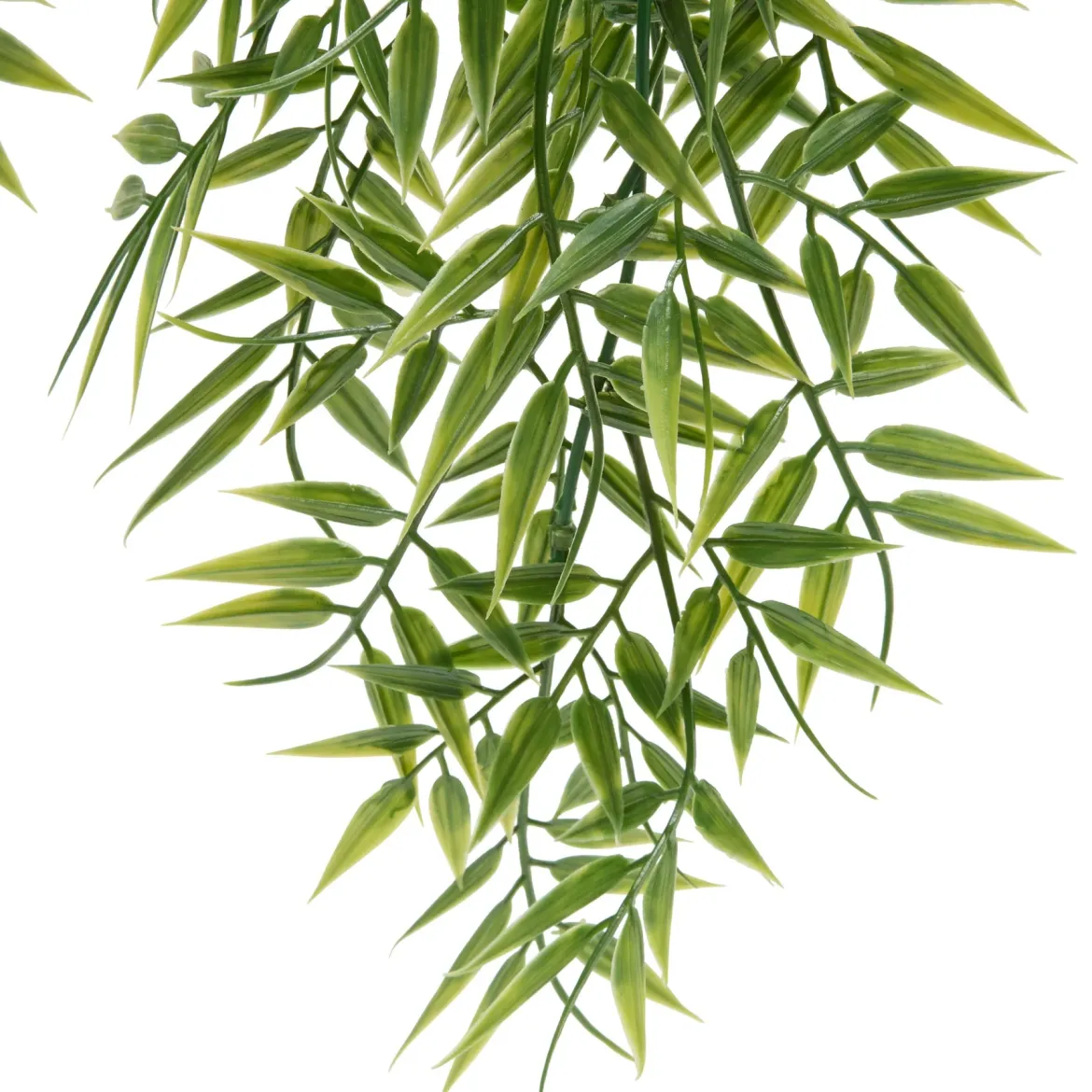 Bambus wiszący w doniczce LIORA, 67 cm