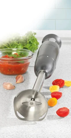 Blender ręczny 400 W SALTER COSMOS, 2 prędkości