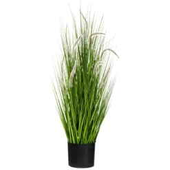 Bukiet kocimiętki w doniczce, wys. 100 cm