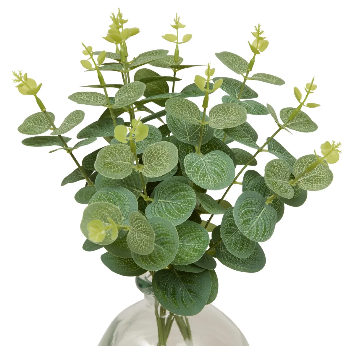 Kompozycja z eukaliptusa URICE, wys. 35 cm, szklany wazon