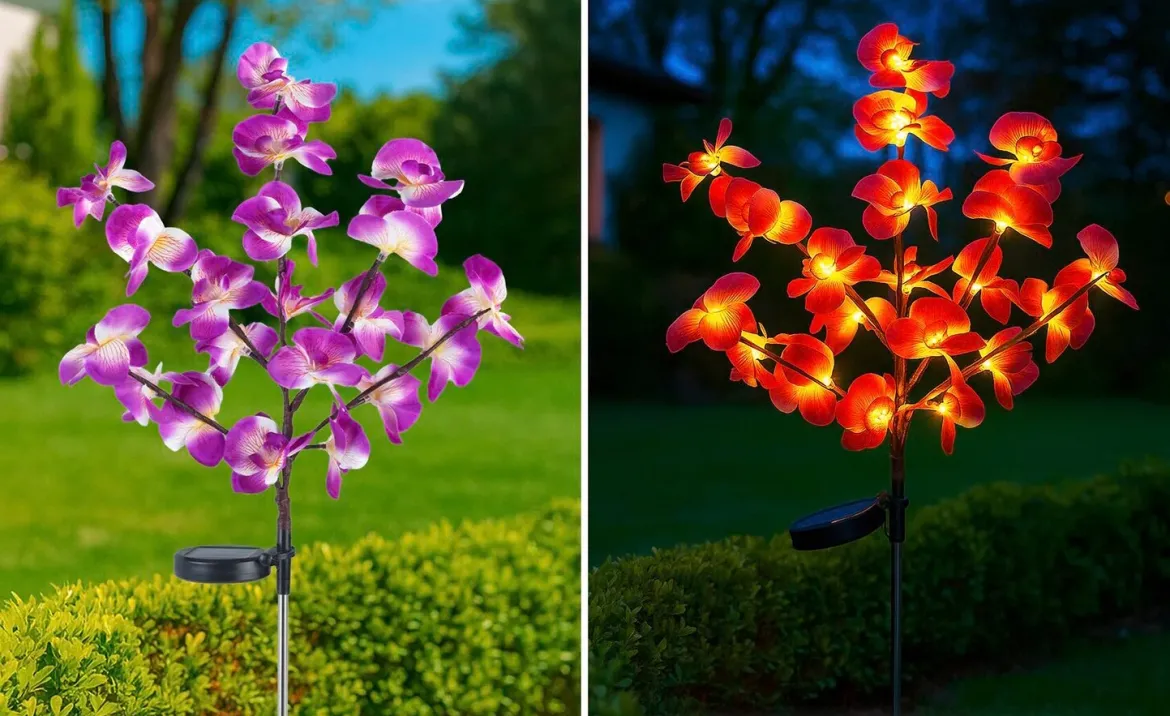 Lampki ogrodowe solarne, storczyki LED, zestaw 2 sztuki, 75 cm