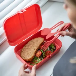 Lunchbox z przegródkami PASCAL L, KOZIOL