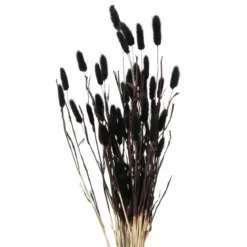 Ozdobne gałązki do wazonu, suszone, 70 cm