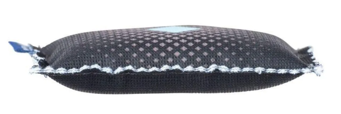 Pochłaniacz wilgoci do samochodu 2 x 120 g, WENKO