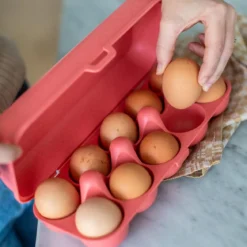 Pojemnik na jajka EGGS TO GO, na 10 jajek, KOZIOL