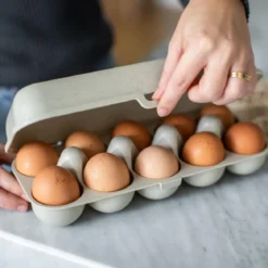 Pojemnik na jajka EGGS TO GO, na 10 jajek, KOZIOL