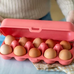 Pojemnik na jajka EGGS TO GO, na 10 jajek, KOZIOL