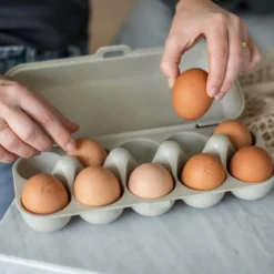 Pojemnik na jajka EGGS TO GO, na 10 jajek, KOZIOL