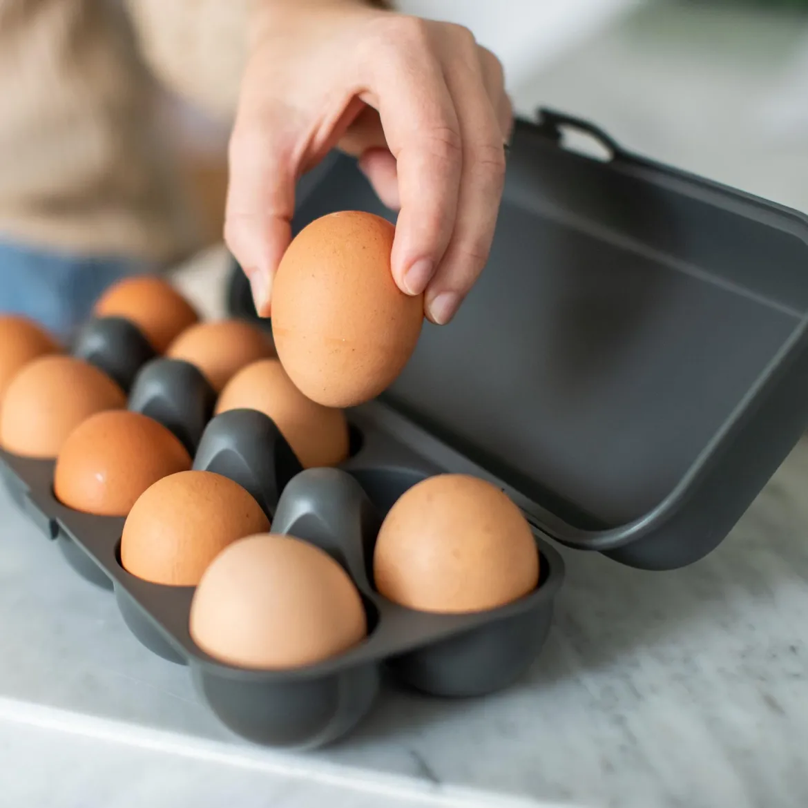 Pojemnik na jajka EGGS TO GO, na 10 jajek, KOZIOL
