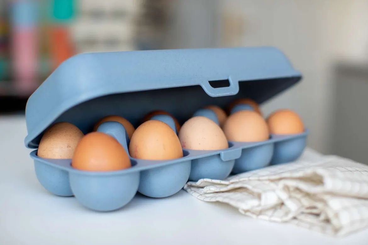 Pojemnik na jajka EGGS TO GO, na 10 jajek, KOZIOL