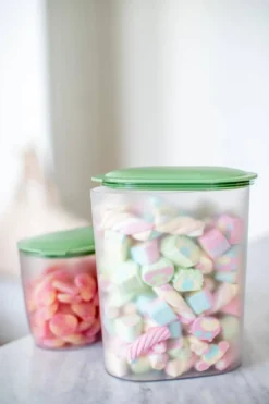 Pojemnik na żywność, OVAL, 2,5 L, rozmiar L, KOZIOL