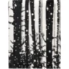 Poliestrowy koc FOXY, 150 x 200 cm