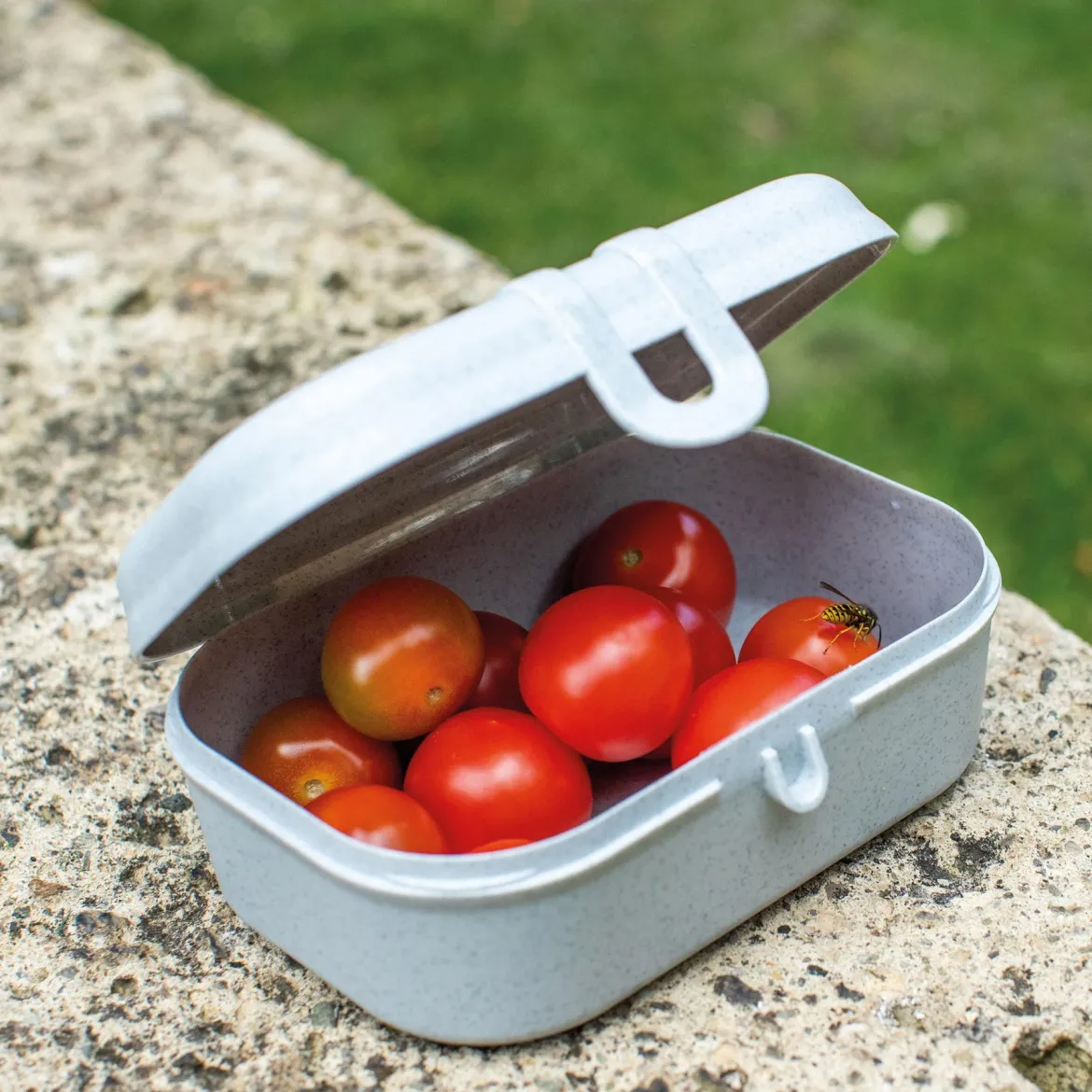 Pudełko na kanapki PASCAL S, KOZIOL