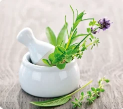 Szklana płyta ochronna HERB GARDEN na kuchenkę – duża, WENKO