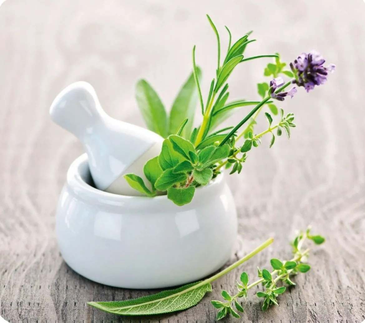 Szklana płyta ochronna HERB GARDEN na kuchenkę – duża, WENKO