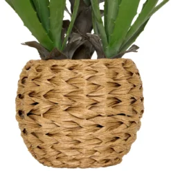 Sztuczna agawa MODA w plecionej doniczce, wys. 61 cm