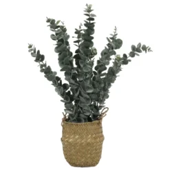 Sztuczna roślina eukaliptus w koszyku, 50 cm