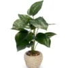 Sztuczna roślina PHILODENDRON, 40 cm