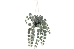 Sztuczna roślina wisząca, 40 cm