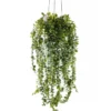 Sztuczna roślina wisząca SENECIO, 60 cm