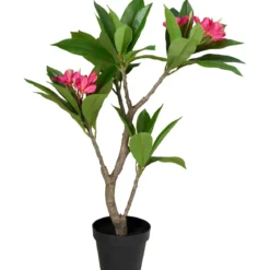 Sztuczne drzewko w doniczce Frangipani, 50 x 90 cm