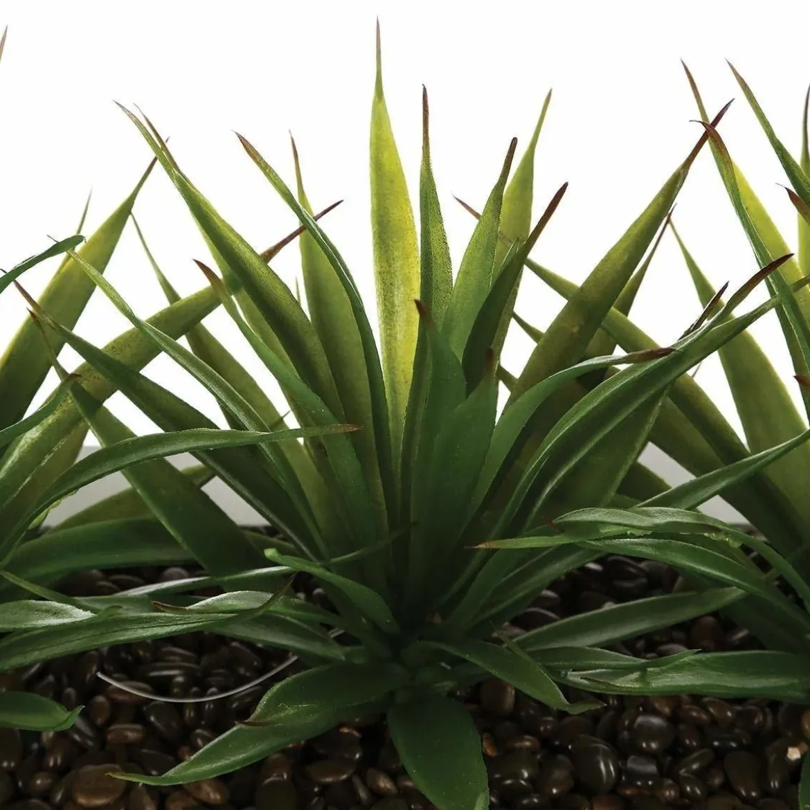 Sztuczne kwiaty w doniczce, aloes