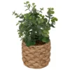 Sztuczny eukaliptus JAYE w ceramicznej doniczce, wys. 27 cm