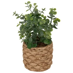 Sztuczny eukaliptus JAYE w ceramicznej doniczce, wys. 27 cm