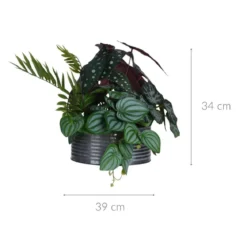 Sztuczny kwiat w doniczce Begonia maculata, 28 cm