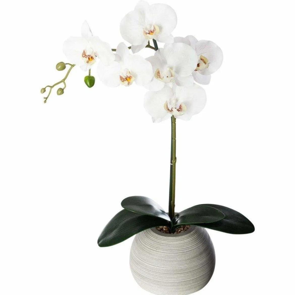 Sztuczny storczyk w doniczce ceramicznej, 50 cm