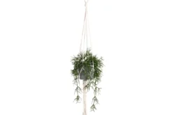 Wieszak na doniczkę, bawełna, 105 cm